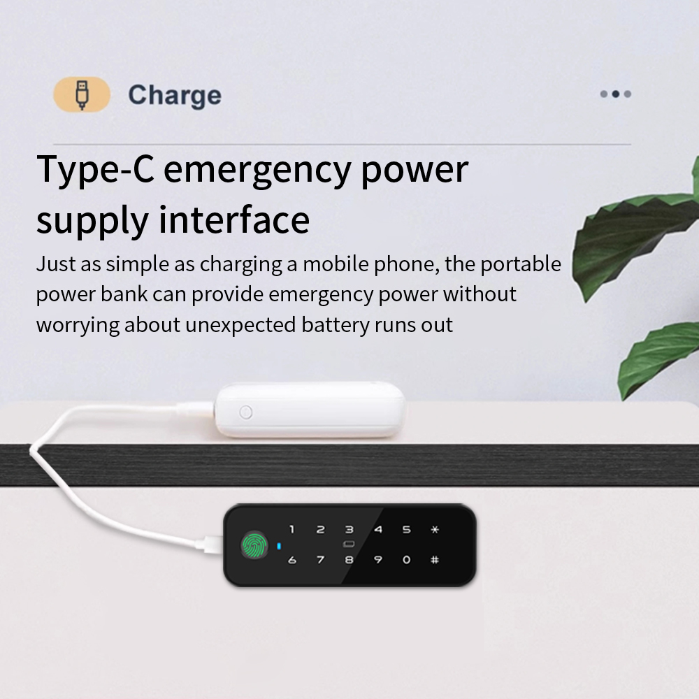 Tuya Bluetooth Smart Wood Cabi - đánh giá và giá Furniture Hardware Tools